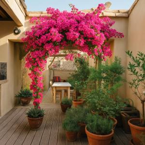 Vente Appartement 5 pièces CARCASSONNE 11000