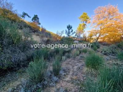 Vente Terrain COARAZE 06390