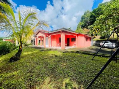 Vente Maison 4 pièces GROS-MORNE 97213