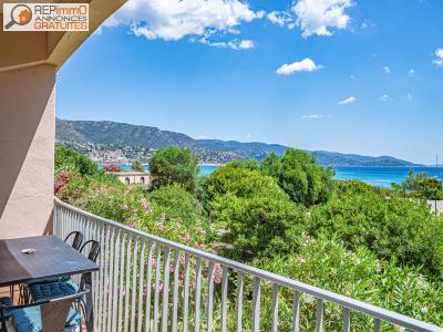 photo For sale Apartment LAVANDOU 83