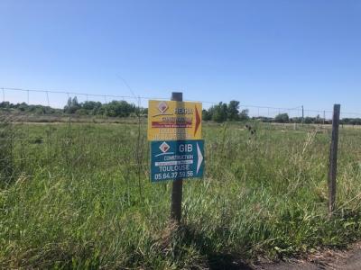 Vente Terrain VILLEMUR-SUR-TARN 31340