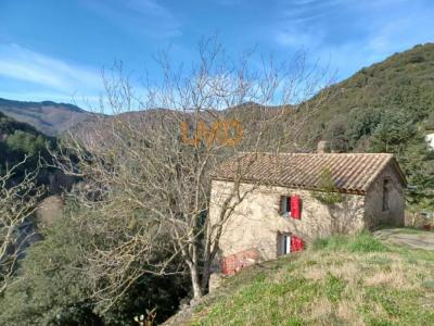 Vente Maison 3 pièces SAINT-ANDRE-DE-VALBORGNE 30940