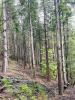 For sale Land Premian  34390
