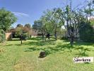 Annonce Vente Terrain Pontet