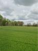 Land BOUHET 