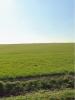 Land VERINES 