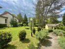 Acheter Commerce Peyrat-de-bellac 734400 euros