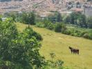 Annonce Vente 5 pièces Maison Millau