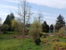 House THIESCOURT 
