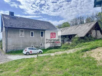 Vente Maison 12 pièces COISE-SAINT-JEAN-PIED-GAUTHIER 73800