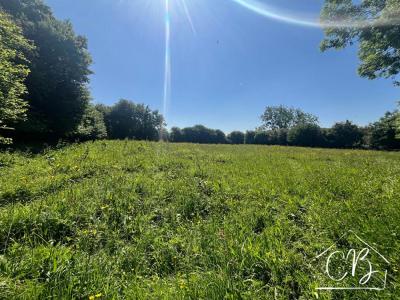 Vente Terrain APPEVILLE 50500