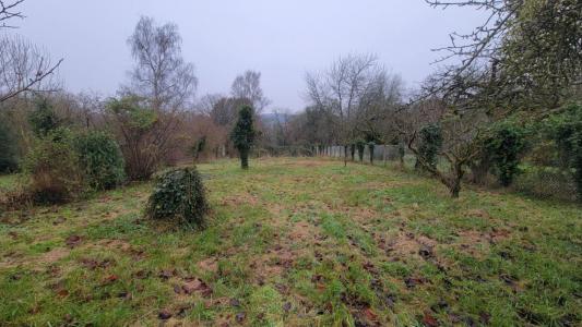 Vente Terrain POMMEUSE 77515