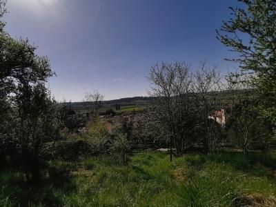 Vente Maison LUZINAY 
