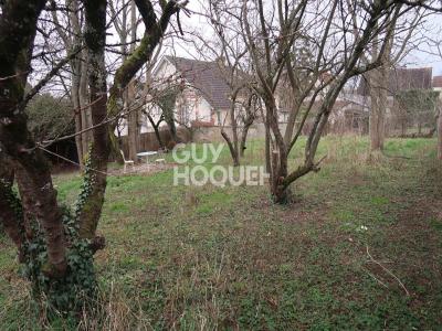 Vente Terrain MIGENNES 89400