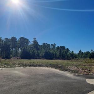 photo For sale Land PARENTIS-EN-BORN 40