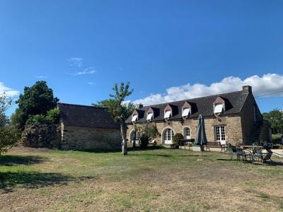photo For sale Prestigious house PLUVIGNER 56