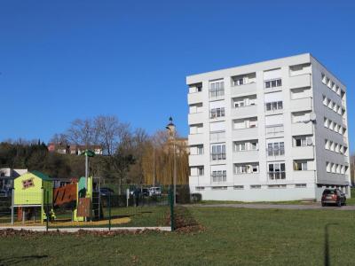 Location Appartement 3 pièces CHATENOIS 88170