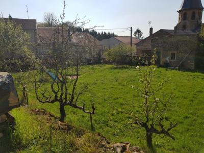 Vente Terrain SAINT-JULIEN-LES-GORZE 54470