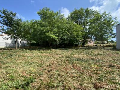 Vente Terrain JARD-SUR-MER 85520