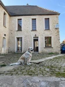 Vente Maison BREUIL 51140