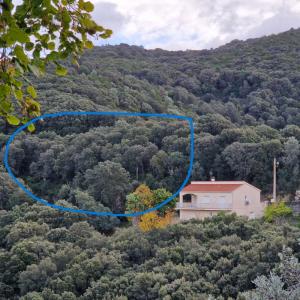 Vente Terrain SARTENE 20100