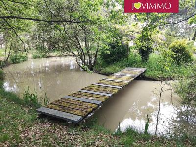 Vente Terrain MIGNALOUX-BEAUVOIR 86550