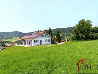 Vente Maison 8 pièces THOLY 88530