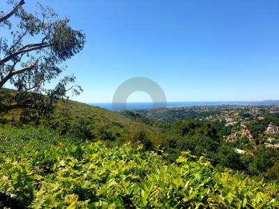 photo For sale House ASPREMONT 06