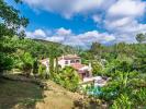 Annonce Vente 7 pièces Maison Opio