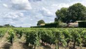 Acheter Terrain Gironde