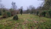 Vente Terrain Pommeuse 77