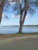 For sale Land Parentis-en-born  40160 440 m2