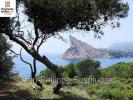 For sale House Ceyreste 13600 300 m2 6 rooms