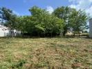 Vente Terrain Jard-sur-mer 85