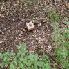 Acheter Terrain 2032 m2 Sartene