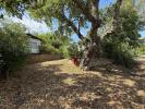 Acheter Terrain Frejus Var