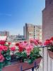 Apartment LILLE 