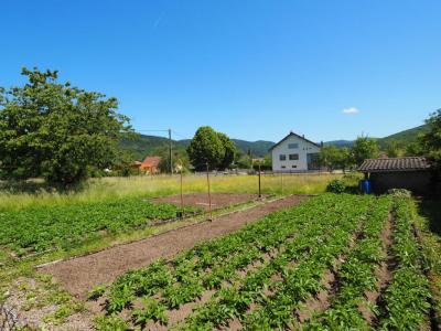 Vente Maison GIROMAGNY 