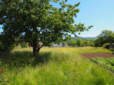 Vente Maison GIROMAGNY 