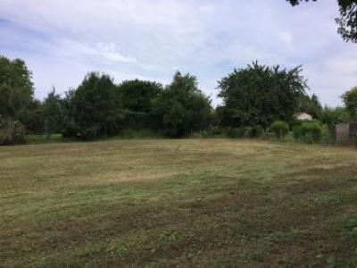 Vente Terrain AYGUESVIVES 31450