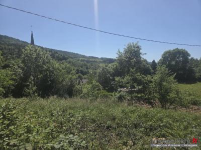 Vente Terrain WISEMBACH  88