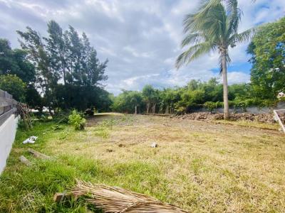 Vente Terrain SAINT-GILLES-LES-HAUTS 97435