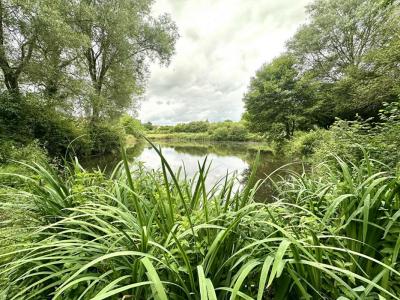Vente Terrain SAVIGNY-SUR-BRAYE  41