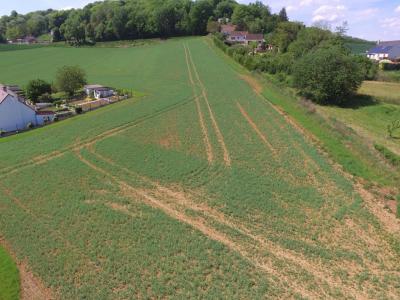 Vente Terrain AUTRECHES 60350