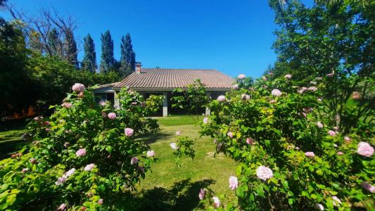 photo For sale House SAINT-JORY 31