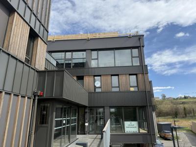 Vente Local commercial ALLONZIER-LA-CAILLE 74350