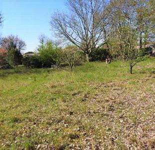 photo For sale Land COIMERES 33