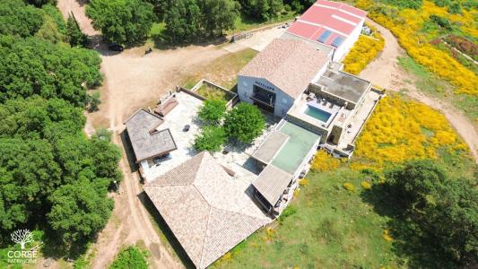 photo For sale Prestigious house PIETRACORBARA 20