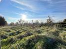 Acheter Terrain  250000 euros