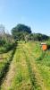 Acheter Maison Plouezoch Finistere